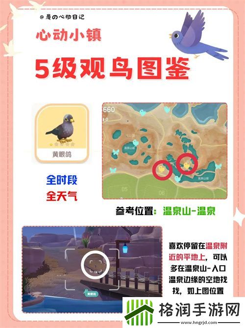 心动小镇五级观鸟详尽位置整理一览