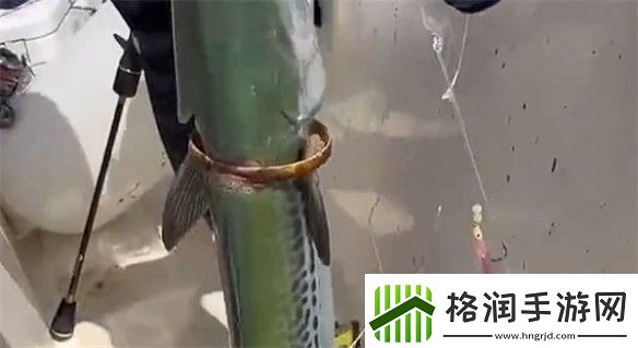 男子钓上一条自带“赎金”的鱼