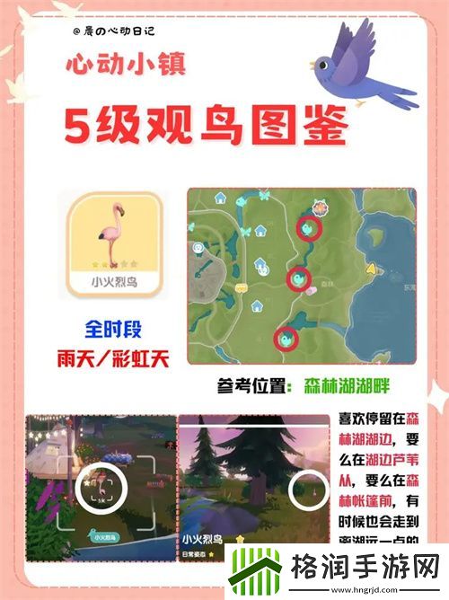 心动小镇五级观鸟详尽位置整理一览