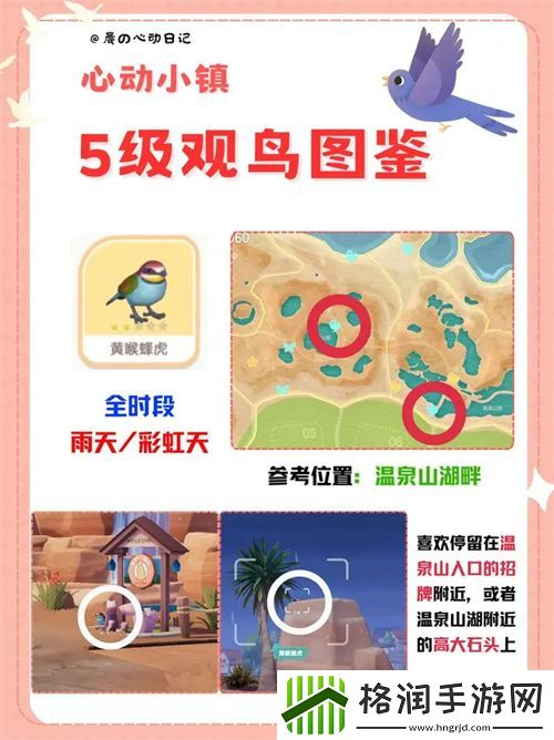 心动小镇五级观鸟详尽位置整理一览