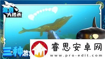 CFS2017冠军基金活动地址