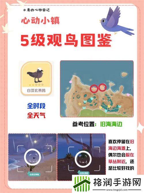 心动小镇五级观鸟详尽位置整理一览