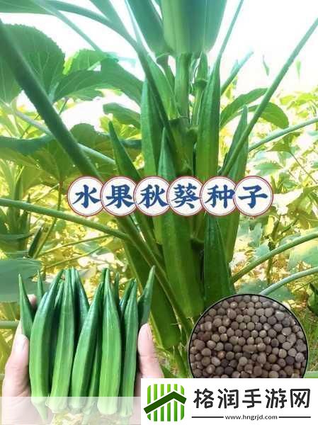 丝瓜秋葵草莓香蕉榴莲芒果大全