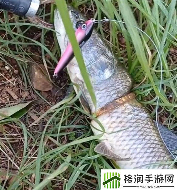 男子钓上一条自带“赎金”的鱼