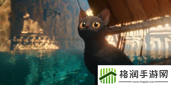 高分动画电影猫猫的奇幻漂流确认引进中国内地！