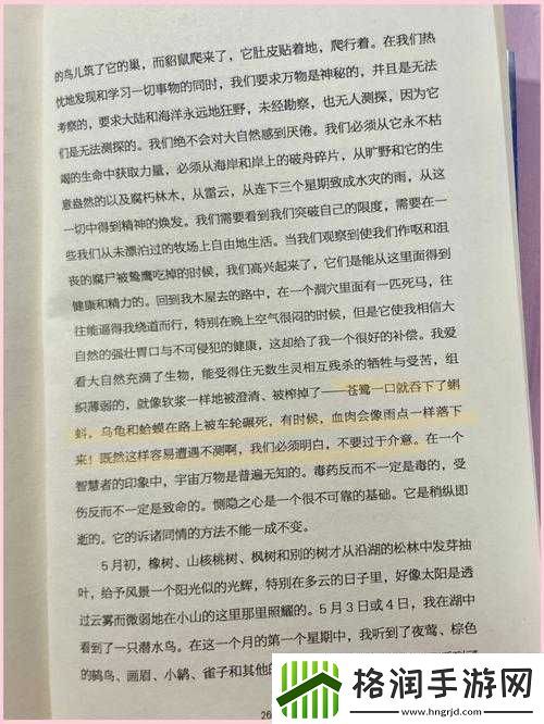 被吃扇贝的感觉