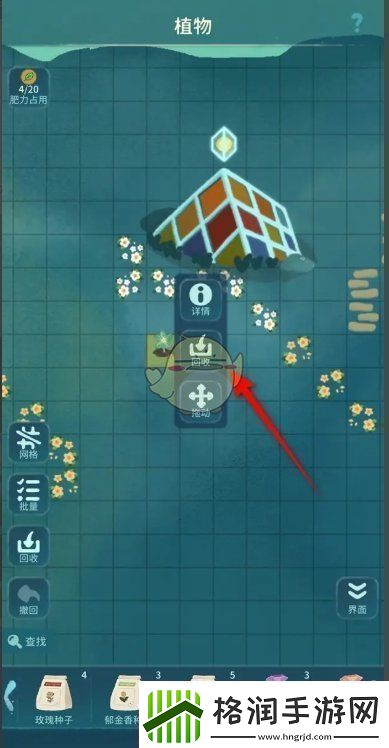 晚安森林种植的农作物怎么收回