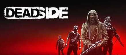 海外华人高速稳定生死相依加速器