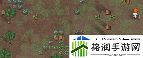 陷阱设置防守攻略