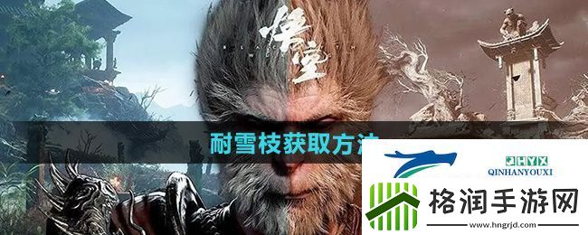 黑神话悟空耐雪枝怎么获取