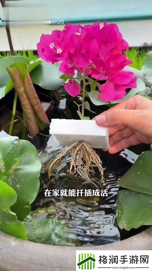 新探讨坐着扦插BB有什么好处的多重优势