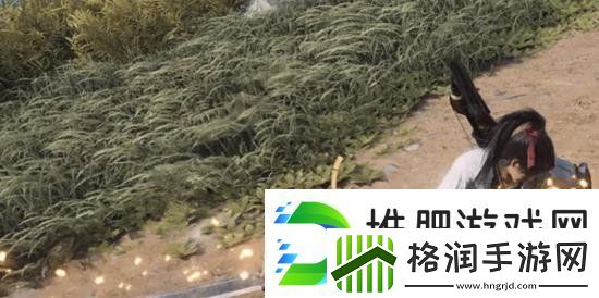 燕云十六声陌刀怎么玩