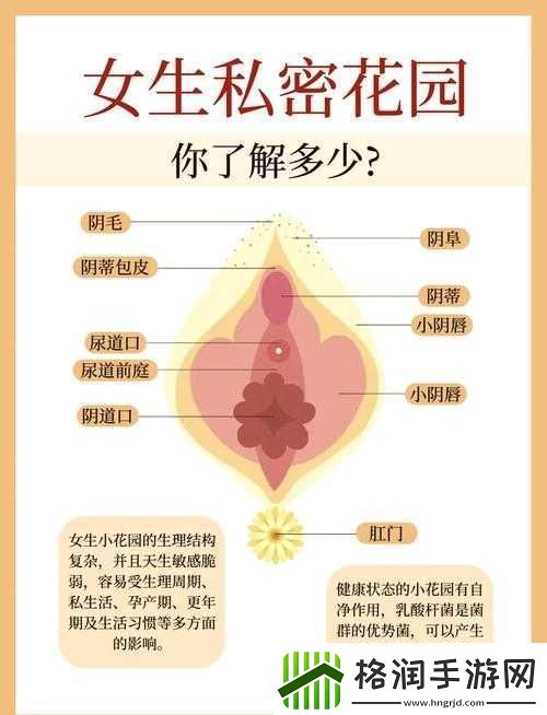 女人扒开腿秘