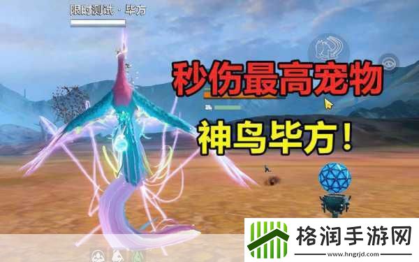 妄想山海百年皮鉴别