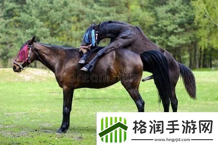 “交流配”奇葩说