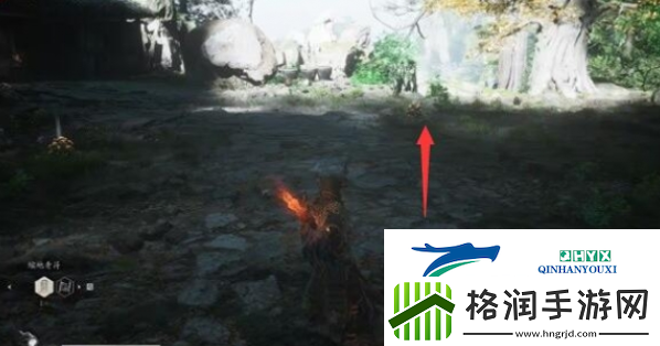 黑神话悟空猴头菌种子怎么获得