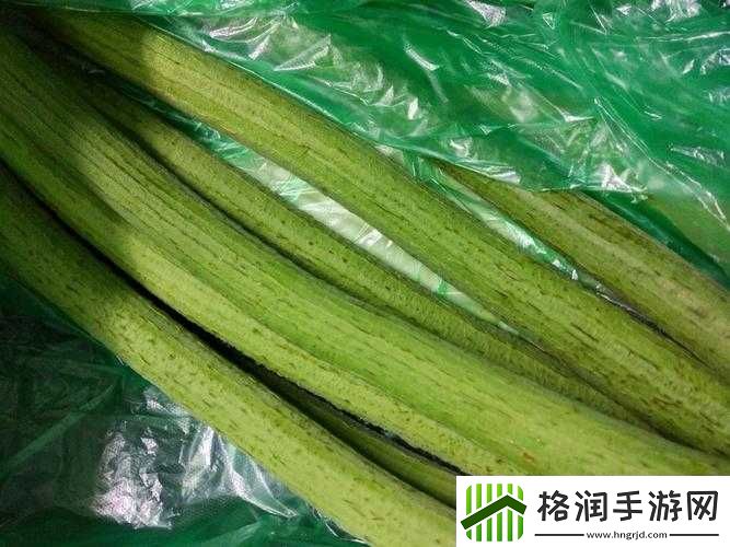 国产高清精品丝瓜