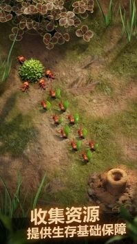 小小蚁国2024最新礼包码