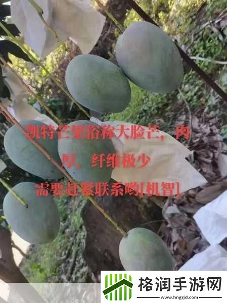 精美日产NV二线三线芒果