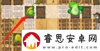 植物大战僵尸2狂野西部第4天怎么过