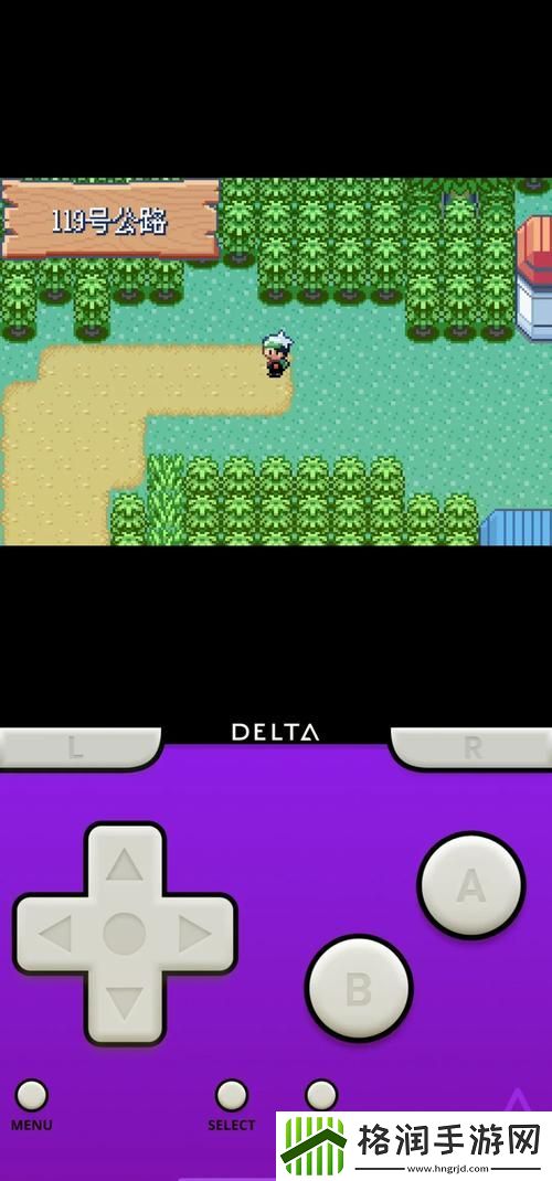 口袋妖怪神圣天使