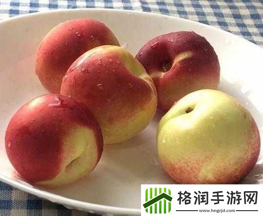 小东西为何这般会吃着实令人惊叹不已