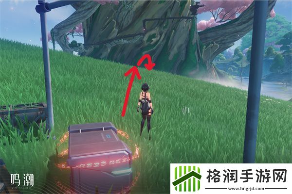 鸣潮无光之森生态调查图文攻略介绍