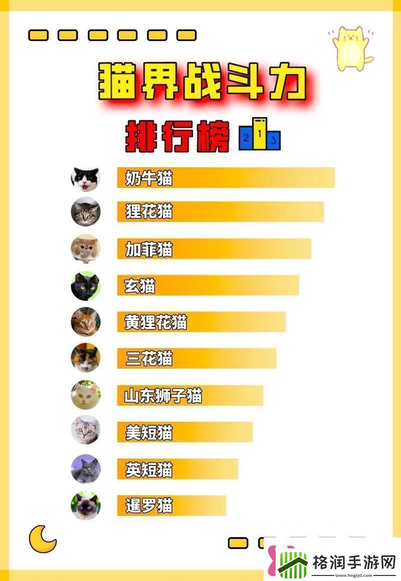 如何快速提升宠物战斗力快速提升宠物战斗力攻略