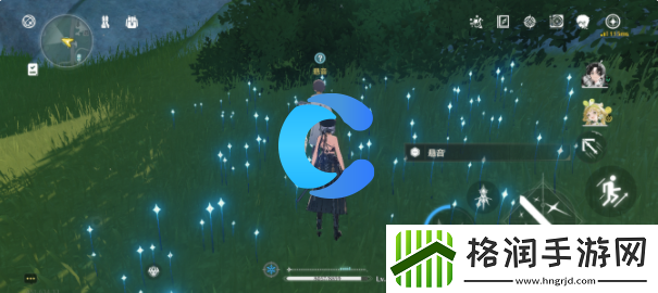 鸣潮倾听动物之声兔语汉语翻译任务完成攻略大全