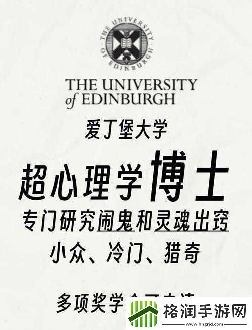 综合一和综合二