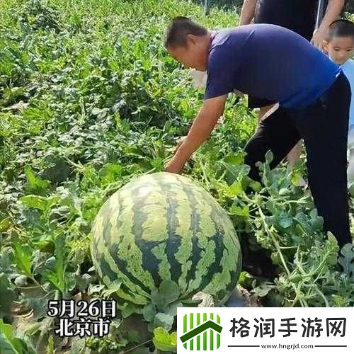 呱呱大爆料往期瓜合集