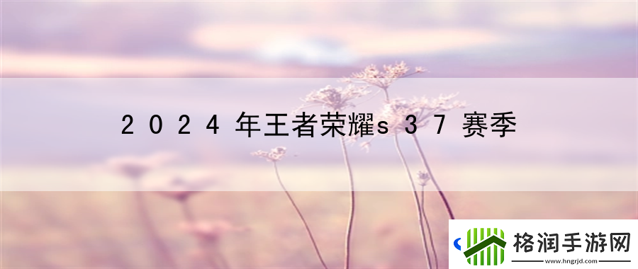 2024年王者荣耀s37赛季