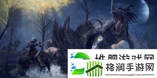 72岁玩家打通艾尔登法环本体及DLC八周目