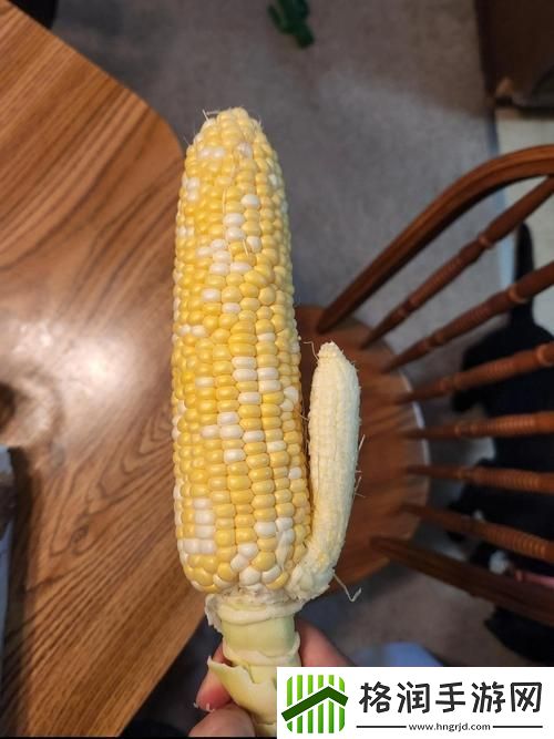 草莓樱桃丝瓜秋葵榴莲黄瓜大全品味自然的美味与健康