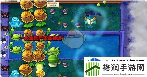 植物大战僵尸杂交版泳池第10关怎么过