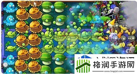 植物大战僵尸杂交版泳池第10关怎么过