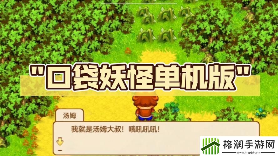 口袋妖怪单机版攻略达西公馆