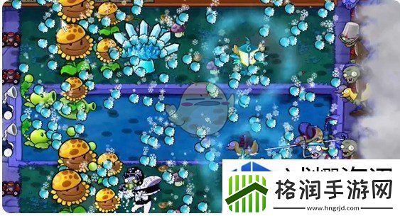 植物大战僵尸杂交版泳池第10关怎么过