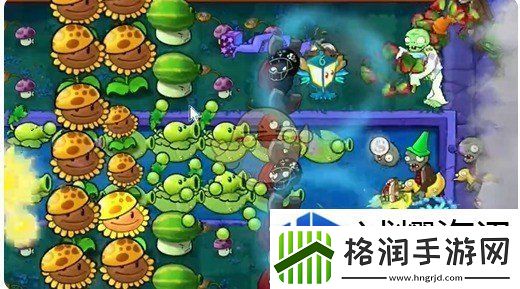 植物大战僵尸杂交版泳池第11关怎么过