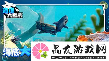 绝区零简杜最强阵容搭配攻略解析！