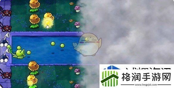 植物大战僵尸杂交版泳池第10关怎么过