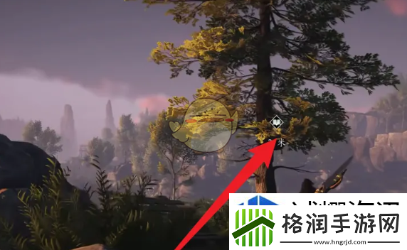 燕云十六声细语蜂窝蹊跷怎么获得