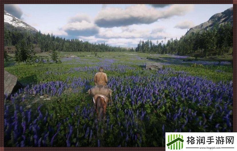 荒野大镖客2野花狂潮