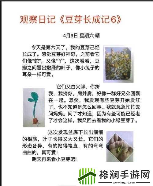 那颗小豆豆的成长历程与难忘故事