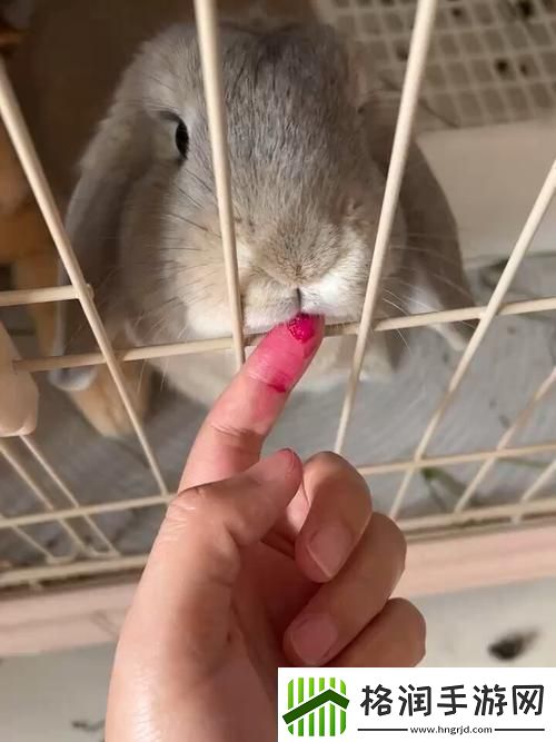 被咬的通红的小白兔子与春日的奇遇