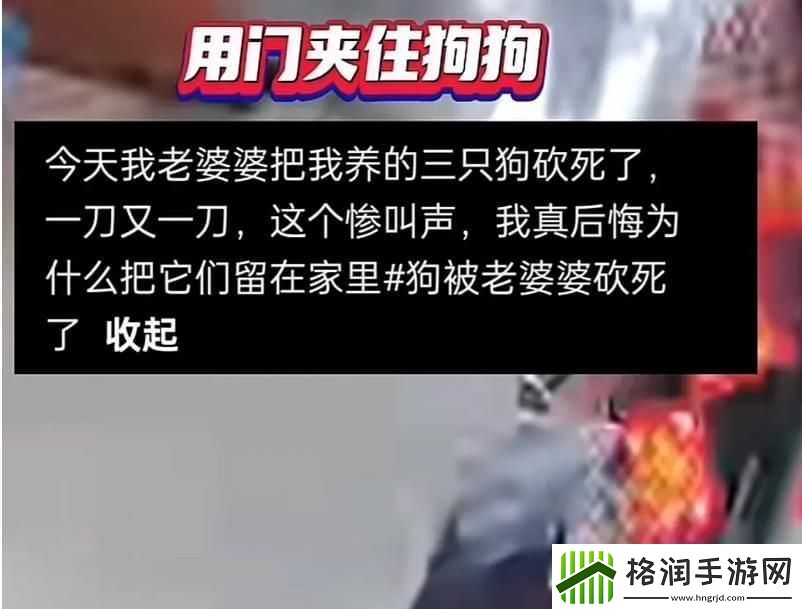 “汪星人与宇宙无敌老佛爷的世纪大战!”