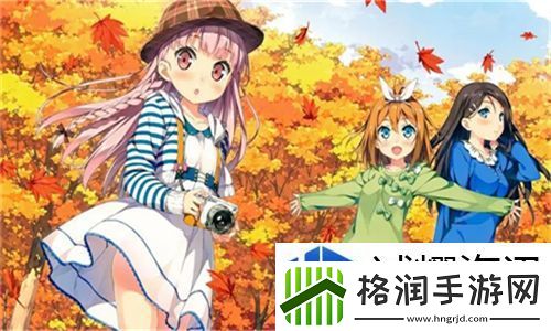 2025抖抈APP免费入口