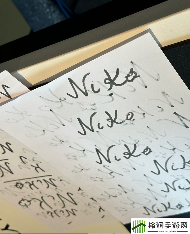 苦练签名NiKo及huNter写满签名方案