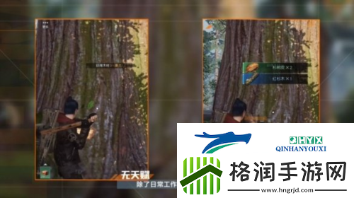 黎明觉醒采集怎么没有经验了