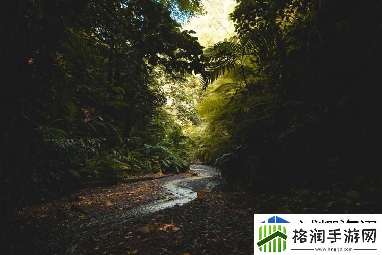 黑色森林的诡秘溪流